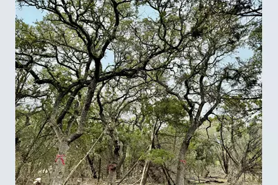 202,204,208 Thomas Oaks Drive, Wimberley, TX 78676 - Photo 10