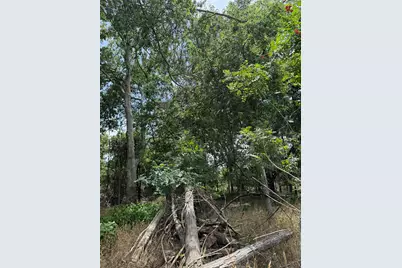 Lot 904 Kahana Lane, Bastrop, TX 78602 - Photo 4