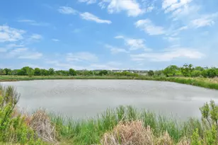 877 Hot Spring Valley, Buda, TX 78610 - Photo 36