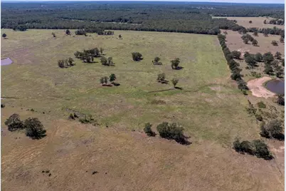 1078 Old Pin Oak Road #Tract 1, Paige, TX 78659 - Photo 6