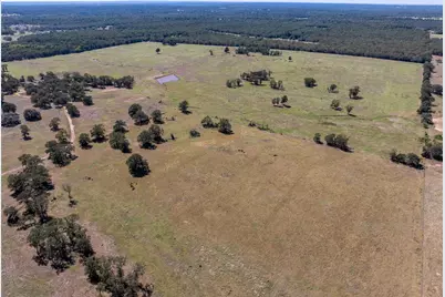 1078 Old Pin Oak Road #Tract 1, Paige, TX 78659 - Photo 14