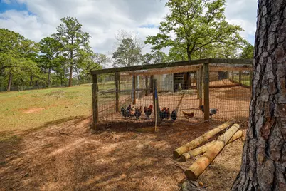 254 Copeland Hill Road, Smithville, TX 78957 - Photo 32