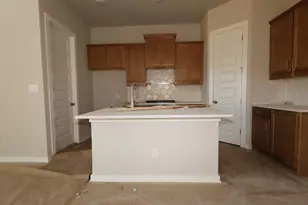 148 Norway Spruce St, Dripping Springs, TX 78620 - Photo 4