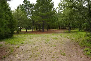 Tbd Buckhorn Dr, Bastrop, TX 78602 - Photo 1