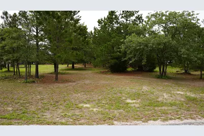 Tbd Buckhorn Drive, Bastrop, TX 78602 - Photo 8