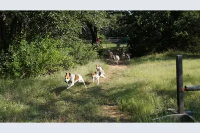 194 Private Road 4663, Boyd, TX 76023 - Photo 30