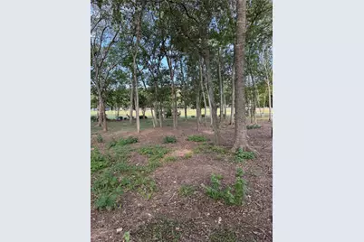 736 E Riverside Drive, Bastrop, TX 78602 - Photo 4