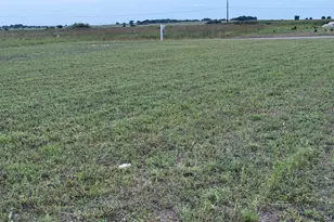 1178 Saltgrass Dr, Salado, TX 76571 - Photo 1