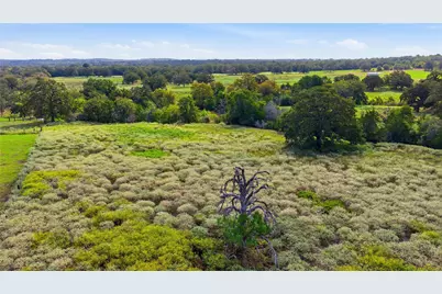 Tbd Young School House Road, Smithville, TX 78957 - Photo 8