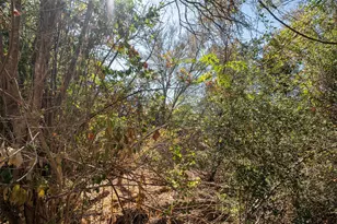 7101 Thannas Way, Austin, TX 78744 - Photo 40