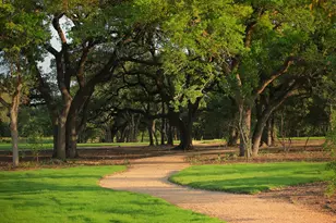 405 Texas Sky Dr, Georgetown, TX 78628 - Photo 18