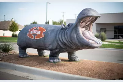 108 Makinaw Road, Hutto, TX 78634 - Photo 32