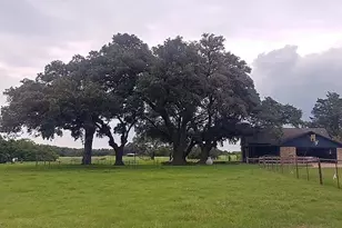 105 Red Tip Ln, Brenham, TX 77833 - Photo 6