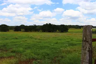 174 Wilson Rd, Elgin, TX 78621 - Photo 20