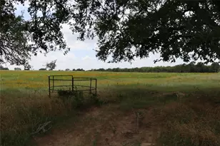 174 Wilson Rd, Elgin, TX 78621 - Photo 24