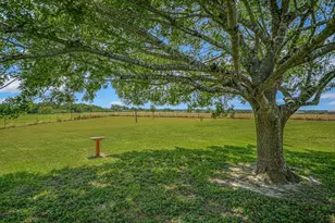 1465 Co Rd 436, Thrall, TX 76578 - Photo 18