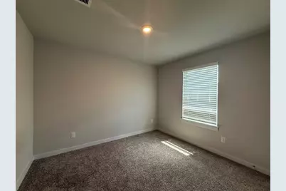 110 Dedina Drive, Georgetown, TX 78626 - Photo 20