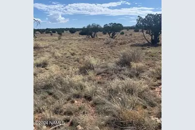 765 S Kenwood Street #415, Williams, AZ 86046 - Photo 4