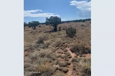 795 S Kenwood Street #414, Williams, AZ 86046 - Photo 4