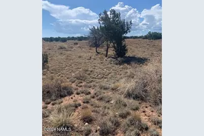 795 S Kenwood Street #414, Williams, AZ 86046 - Photo 2