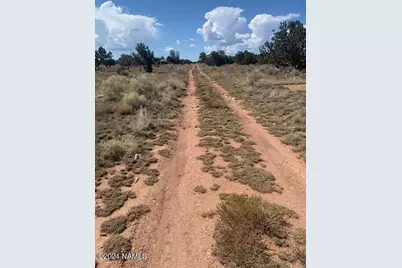 795 S Kenwood Street #414, Williams, AZ 86046 - Photo 8