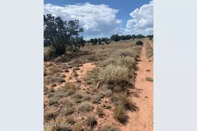 4896 E Redwood Lane #385, Williams, AZ 86046 - Photo 4