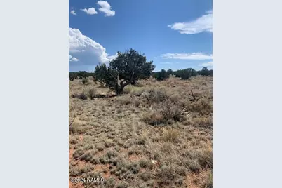 823 S Lodestar Drive #383, Williams, AZ 86046 - Photo 4