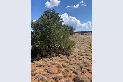 823 S Lodestar Drive #383, Williams, AZ 86046 - Photo 2