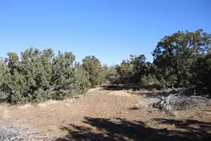 627 E Hualpai Trail, Williams, AZ 86046 - Photo 1