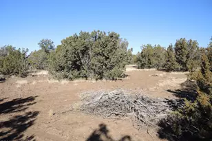 627 E Hualpai Trail, Williams, AZ 86046 - Photo 1