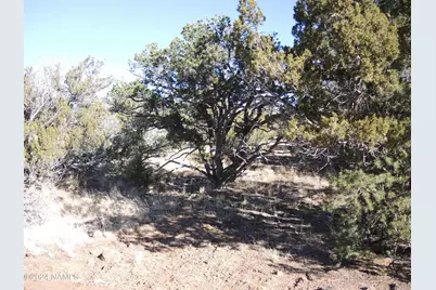 627 E Hualpai Trail, Williams, AZ 86046 - Photo 4