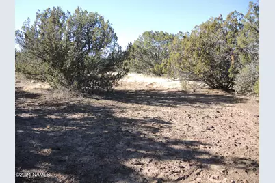 627 E Hualpai Trail, Williams, AZ 86046 - Photo 6