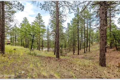 4540 S Flagstaff Ranch Road, Flagstaff, AZ 86005 - Photo 12