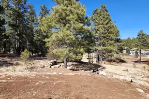 4800 S Wildlife Dr, Flagstaff, AZ 86005 - Photo 66