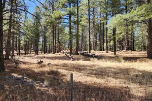 4800 S Wildlife Dr, Flagstaff, AZ 86005 - Photo 64