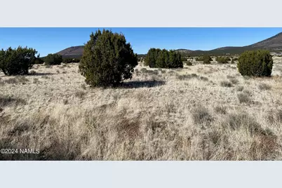 7775 Tulip Trail, Williams, AZ 86046 - Photo 2