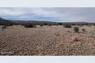 28184 Ventura Drive, Seligman, AZ 86337 - Photo 8