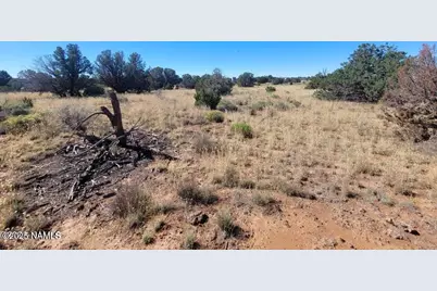 4331 Greeley Drive #278, Williams, AZ 86046 - Photo 4