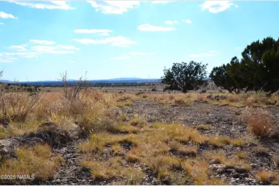 11154 Howard Mesa Loop, Williams, AZ 86046 - Photo 8