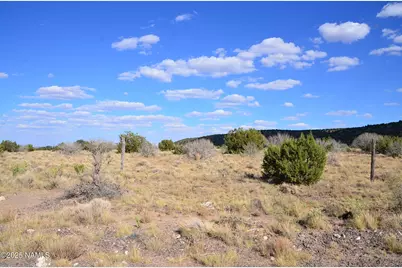 11154 Howard Mesa Loop, Williams, AZ 86046 - Photo 4