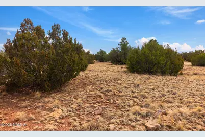 3454 E Antelope Vista, Williams, AZ 86046 - Photo 18