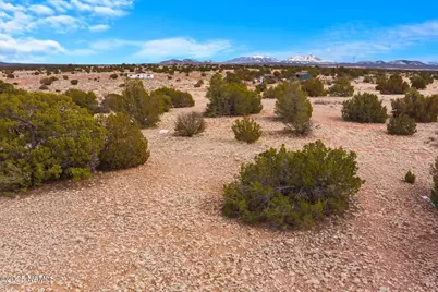 3454 E Antelope Vista, Williams, AZ 86046 - Photo 14