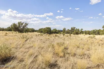 911 S Wedgewood Drive, Williams, AZ 86046 - Photo 24