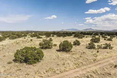 911 S Wedgewood Drive, Williams, AZ 86046 - Photo 4