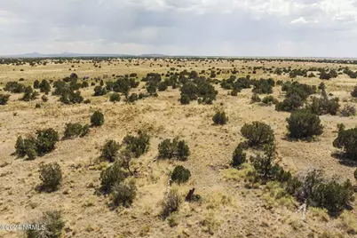 911 S Wedgewood Drive, Williams, AZ 86046 - Photo 8