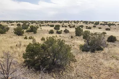 851 S Wyandotte Road, Williams, AZ 86046 - Photo 8