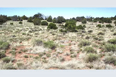 2256 S Bluebell Road, Williams, AZ 86046 - Photo 2