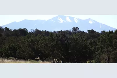 2256 S Bluebell Road, Williams, AZ 86046 - Photo 1