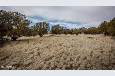 13165 Cloud Way, Flagstaff, AZ 86004 - Photo 4