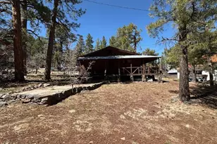 1335 Park Dr, Mormon Lake, AZ 86038 - Photo 20